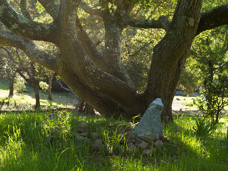 Natural Burial/Green burial space in Ancestral Forest