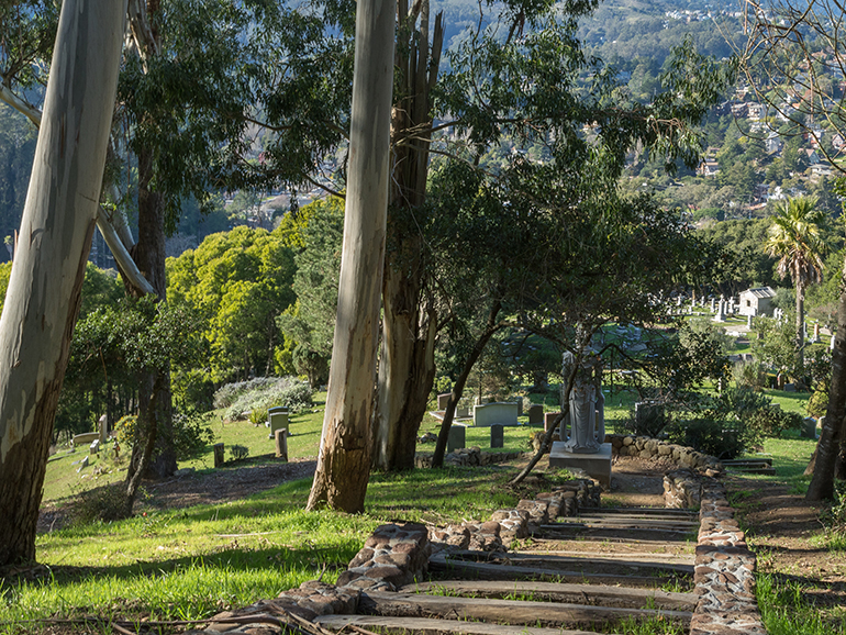 Natural Burial/Green cemetery in Family Grove