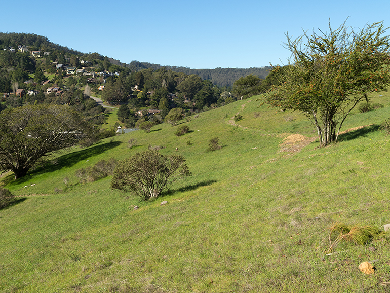 Natural Burial/Green burial space in Mt. Fernwood