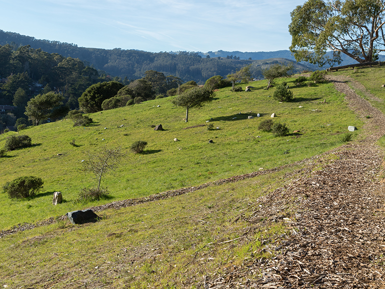 Natural burial in Upper Madow